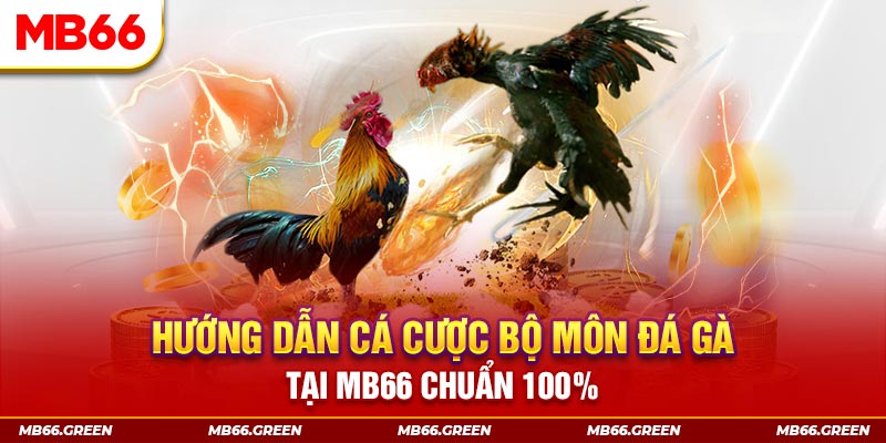 58wim xổ số bình định