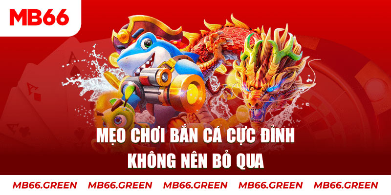 58wim casino ở đâu
