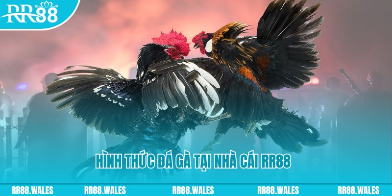 58wim xin 1 slot là gì