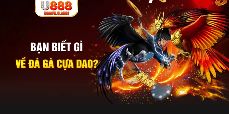 58wim xổ số kiến thiết