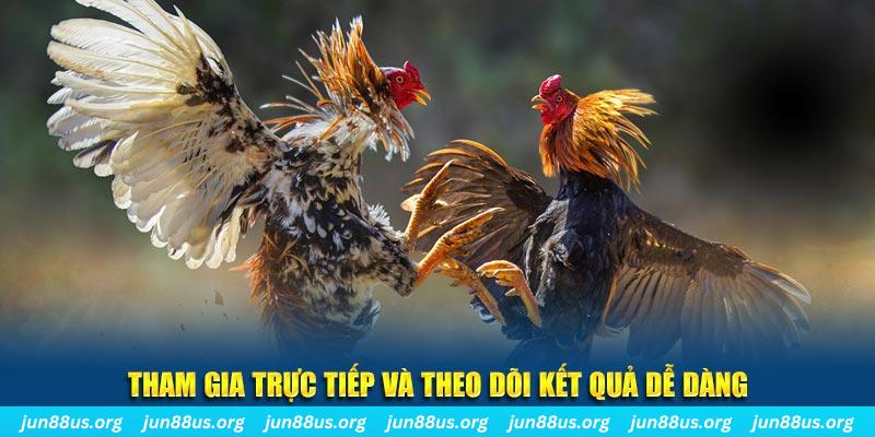 58wim đá gà trực tiếp bình luận viên