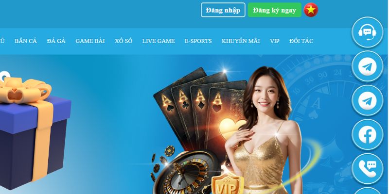58wim slot là gì dịch