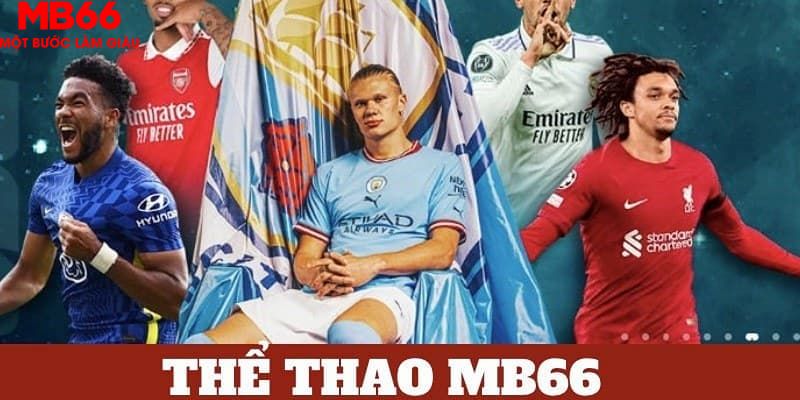 58wim trực tiếp đá gà 67