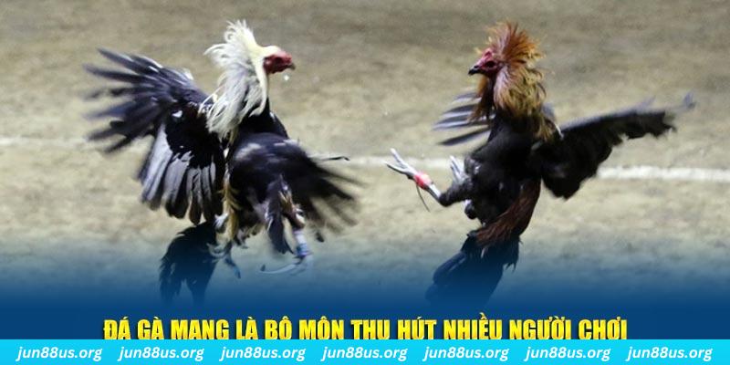 58wim xổ số cà mau