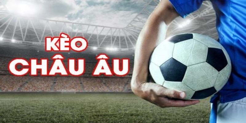 đá gà trực tiếp casino