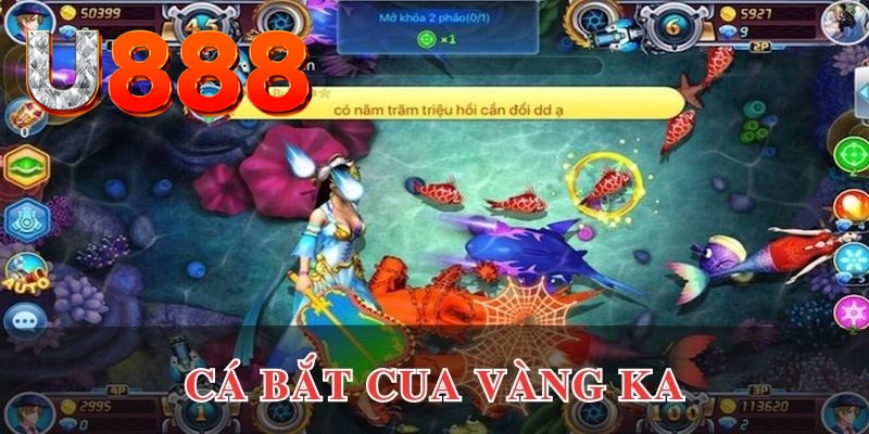 58wim đăng nhập phỏm uy tín