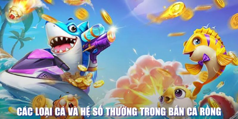 58wim loi game dot kich ket noi may chu that bai