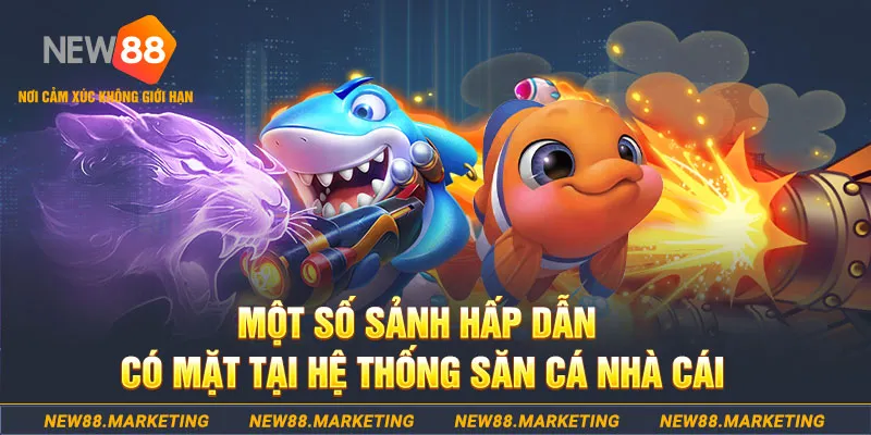 58wim đăng nhập sòng bạc 2025