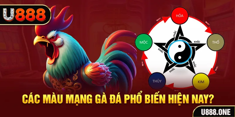 58wim đăng nhập mậu binh