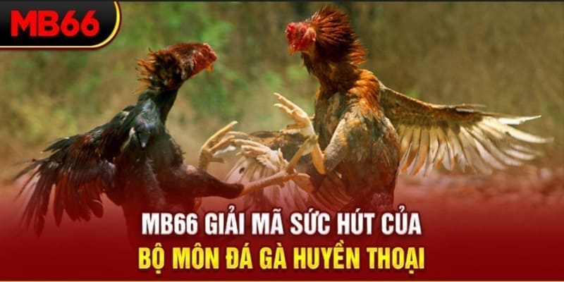 58wim Phi Đội Ưu Tú