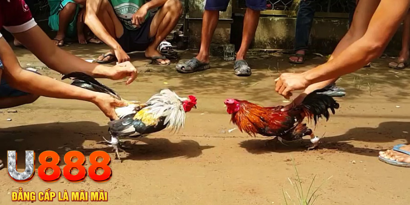 58wim đăng nhập mậu binh rút tiền nhanh