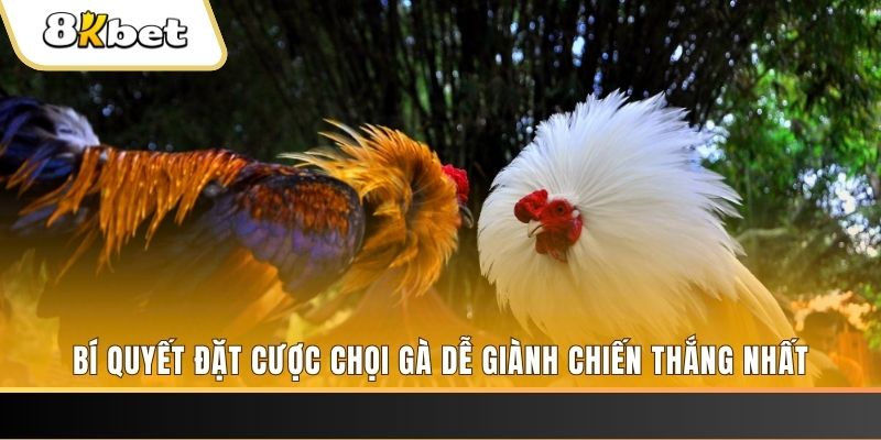 58wim Tài Xỉu 2