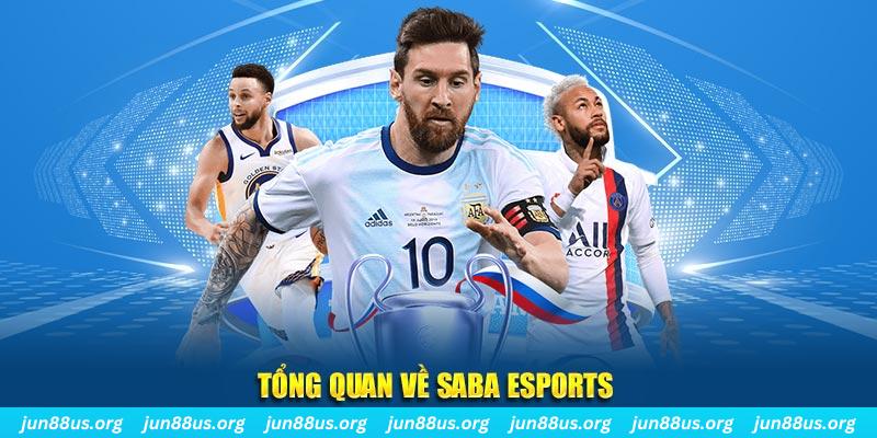 58wim gà chọi c1 tv trực tiếp hôm nay